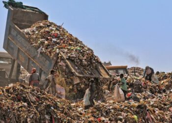 The Landfill Problem: Why Recycle and Use Trash Services?