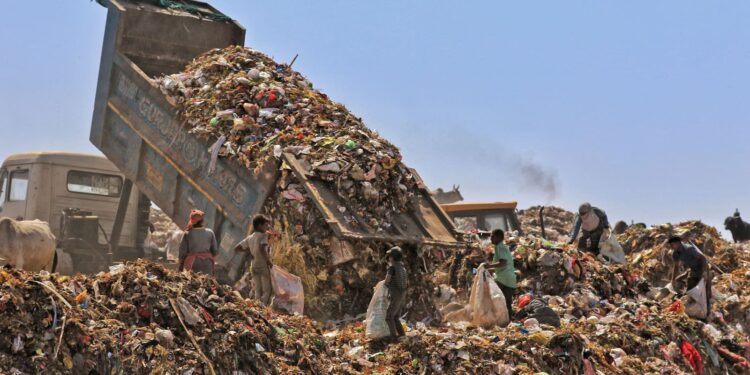 The Landfill Problem: Why Recycle and Use Trash Services?