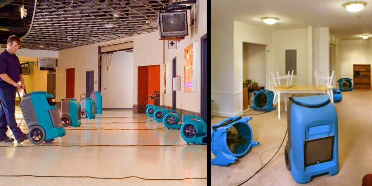 services do a restoration company take