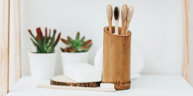 Eco-Friendly Upgrade: How to Make Your Bathroom More Sustainable 