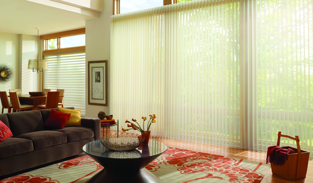 The Pros and Cons of Window Shades