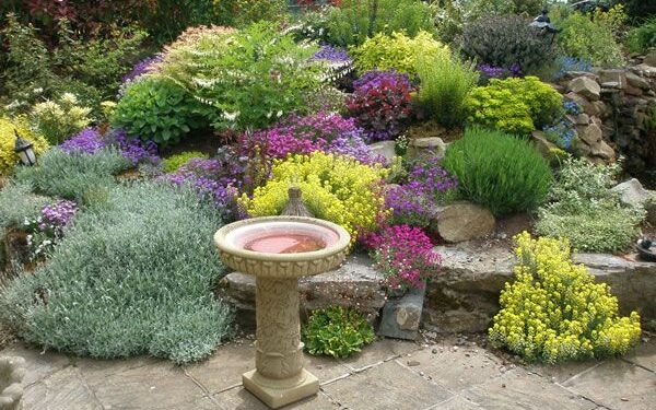 Quirky Flower Garden Ideas to Spruce Up Your Yard