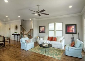Ceiling Fan in living room