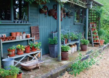 Large garden sheds decoration ideas