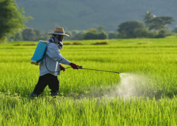 Pesticides, Insecticides, Origin and Its Commercial Benefits 