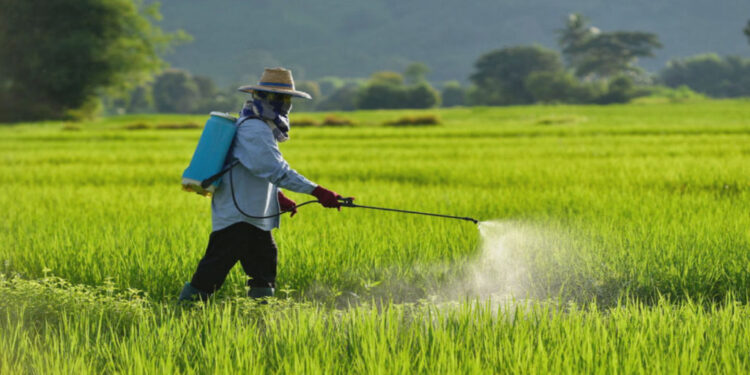Pesticides, Insecticides, Origin and Its Commercial Benefits