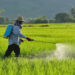 Pesticides, Insecticides, Origin and Its Commercial Benefits 