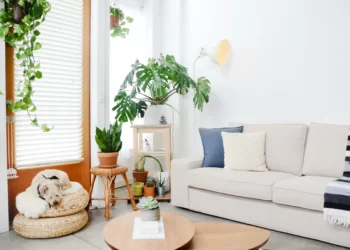 Finding the Perfect Sofa Bed for Your Home: A Comprehensive Guide