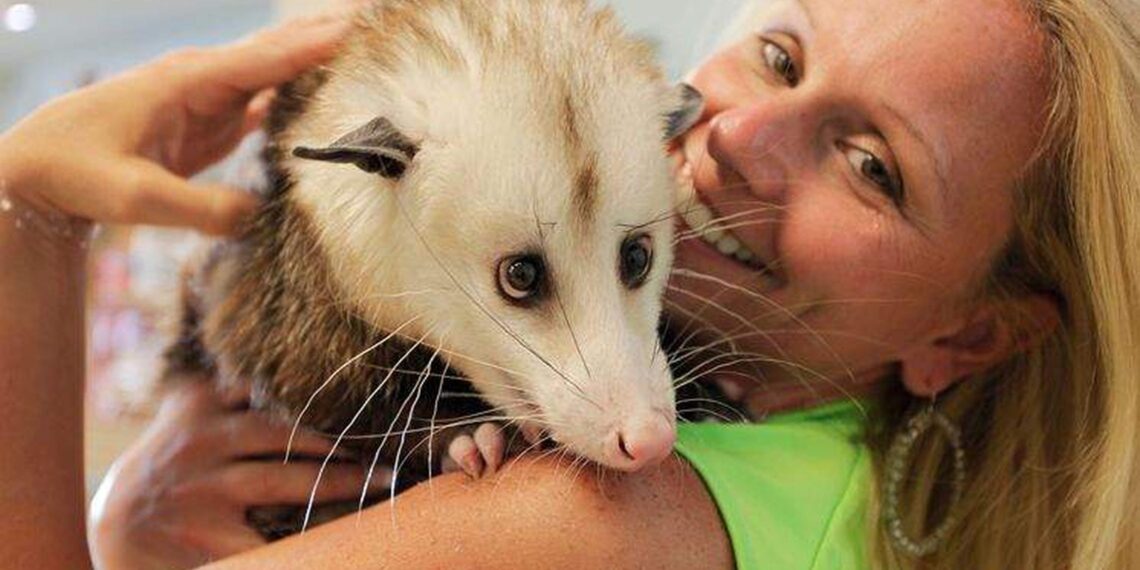 8 Most Convenient Pets to Keep in Your Dorm Room House Integrals