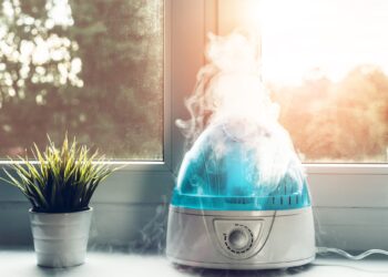 5 signs you need a dehumidifier in your home