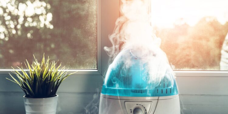 5 signs you need a dehumidifier in your home