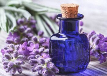 Are Essential Oils Safe for Pets?
