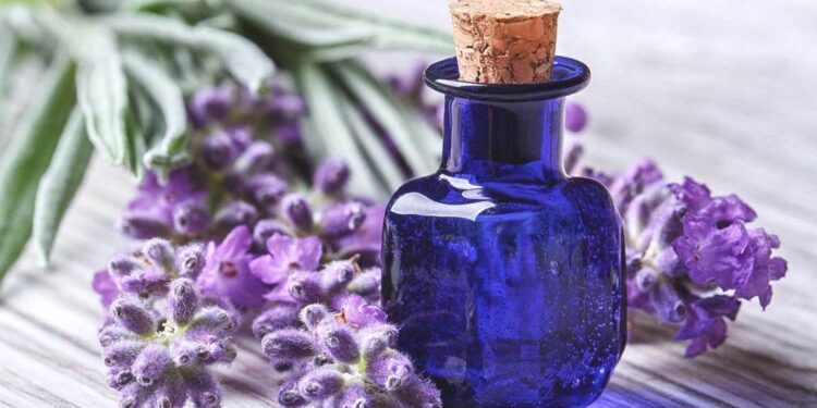 Are Essential Oils Safe for Pets?
