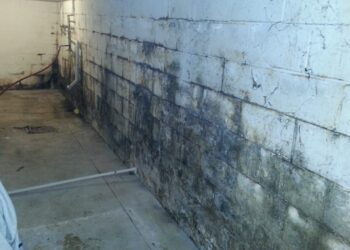 Preventing Mold In Your Basement: 4 Things To Keep In Mind