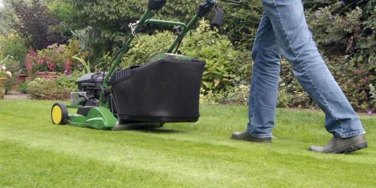 Benefits of Professional Lawn Mowing Services - House Integrals