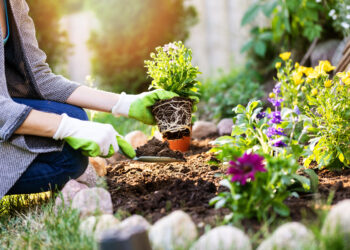 8 Secrets To A Vibrant And Healthy Garden
