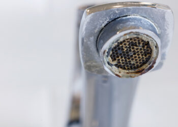 Limescale on faucet mesh in the bathrooms.