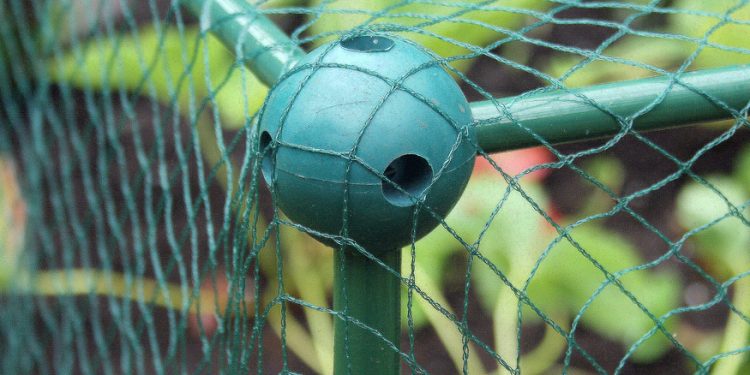 Anti-Bird Netting