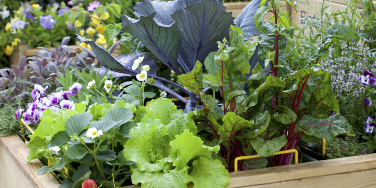 8 Gardening Mistakes to Avoid