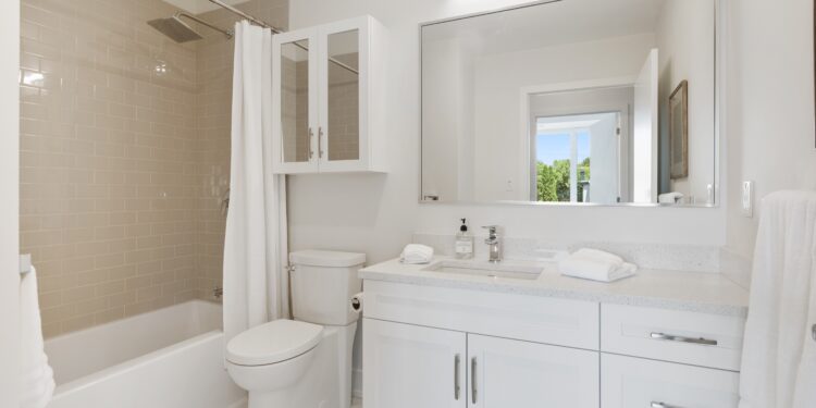 What Are the Most Common Bathroom Problems and How to Solve Them?