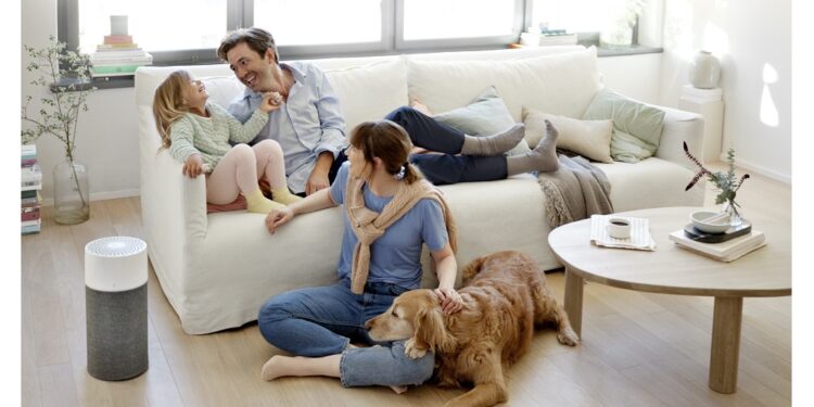 9 Easy Ways To Improve Your Indoor Air Quality