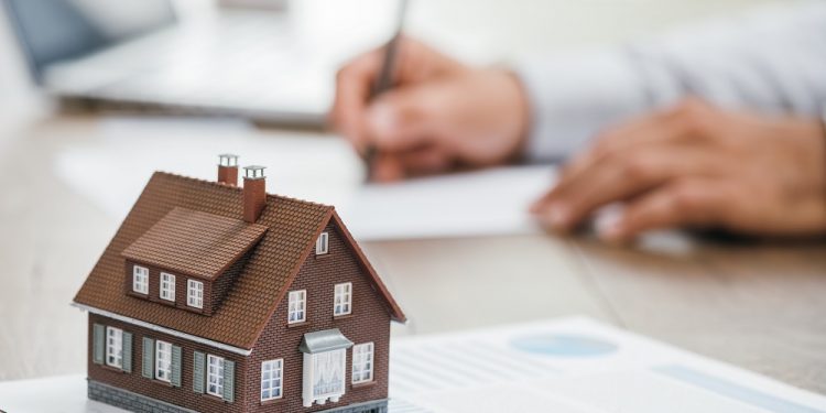 Real estate agent working in his office