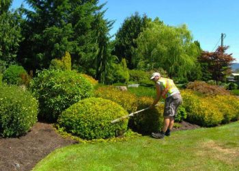 Why Should You Hire A Strata Gardening Maintenance Service?