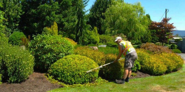 Why Should You Hire A Strata Gardening Maintenance Service?