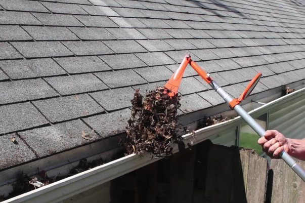 Clogged Gutters on roof