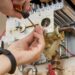 Top Tips On How To Improve Your Boiler Maintenance