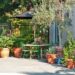 5 idea to makeover a backyard