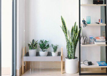 How To Incorporate Biophilic Design Into Your Home