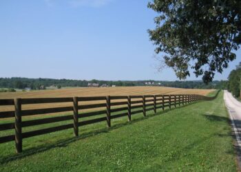 Fencing In Your Large Piece of Land