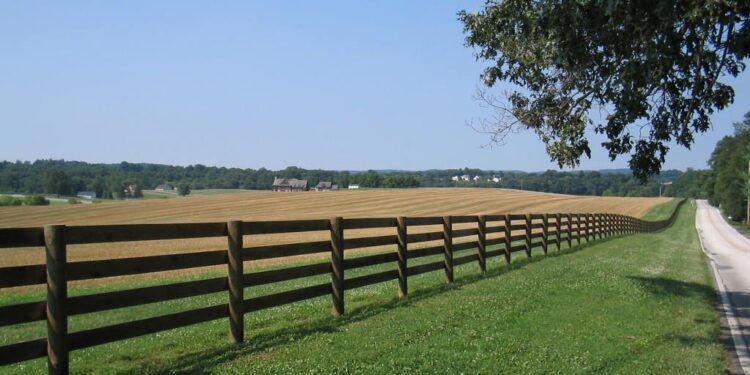 Fencing In Your Large Piece of Land