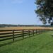 Fencing In Your Large Piece of Land