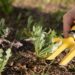 4 Essential Tools You Must Buy for Your Garden Maintenance