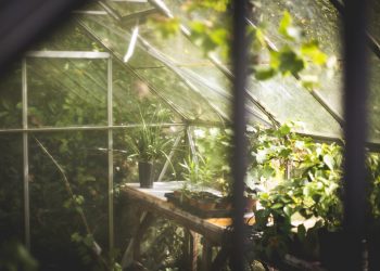 Greenhouse gardenig