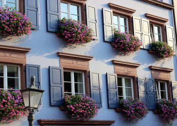 Home Feeling Like Spring with Fresh Flowers