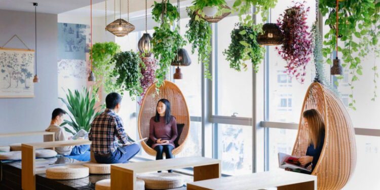 Houseplants for Office