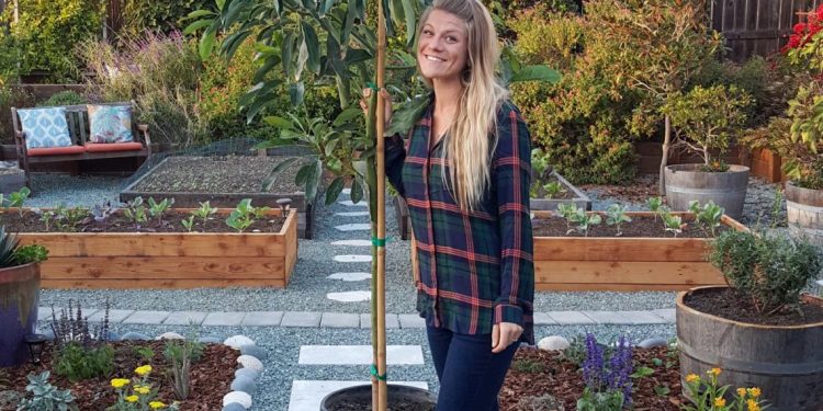 What Fruit Trees Should be Planted Together?