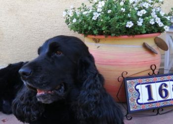 Why is it necessary to topic the required house numbers and letters?