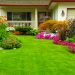 Make Your Yard Look Pristine By Hiring the Right Lawn Care Company