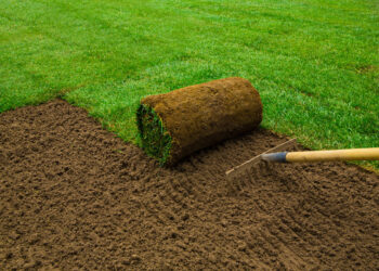 How to Lay Sod for Zoysia Grass: 7 Steps