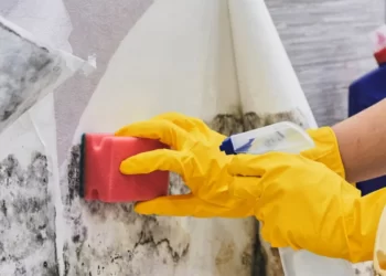 These Things Could Increase The Risk Of Mold Growing In Your Home
