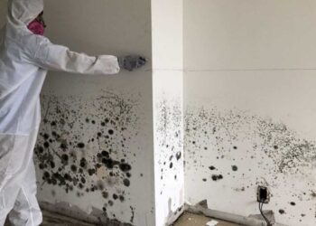 When Do You Need A Professional To Clean Up Mold?