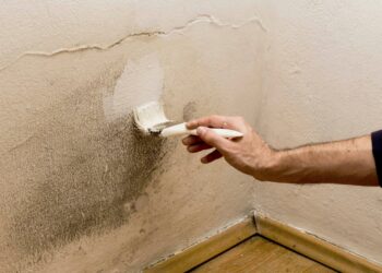 3 Dangers of Painting Over Mold