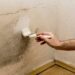 3 Dangers of Painting Over Mold