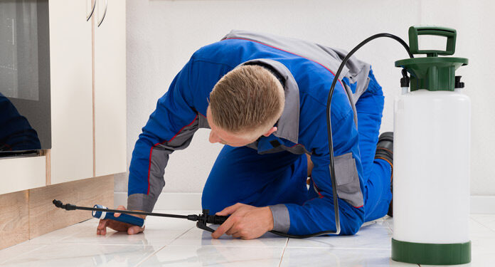 Reaching Out to a Team of Specialists for a Pest Control Walkthrough