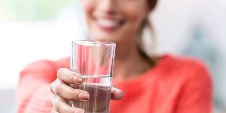 Top Water Filters for your Home