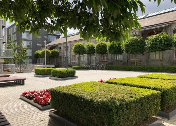 BENEFITS OF RESIDENTIAL AND COMMERCIAL LANDSCAPES